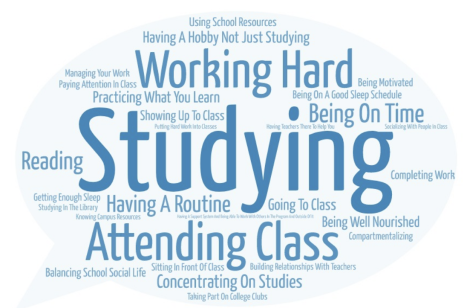Students describe factors contributing to college success