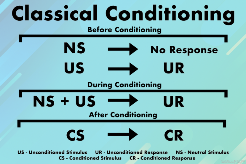 Classical Conditioning PSY101 Poster