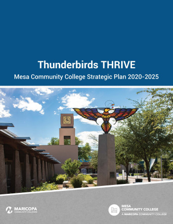 Thunderbirds Thrive cover art