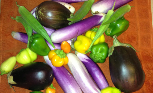 A pile of vegetables.