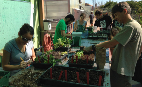 Volunteers labeling plants.