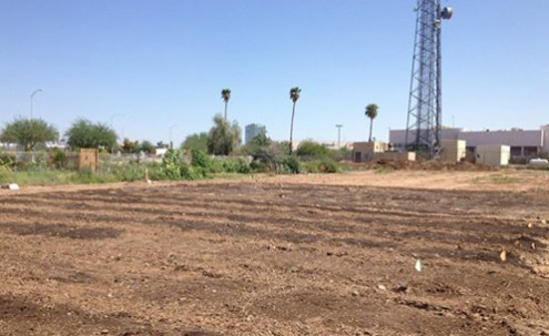 Rows of freshly planted soil.