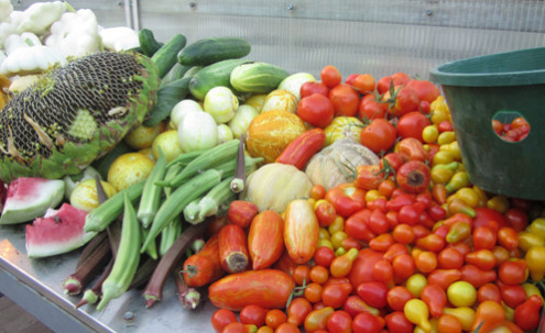A large pile of vegetables.