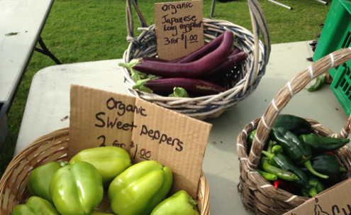Baskets of eggplant and peppers.