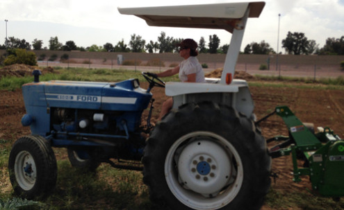 A person driving a tractor.