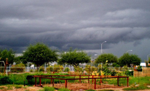 Storm clouds over a garden at MCC.