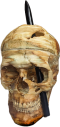 Photo of Gage Skull