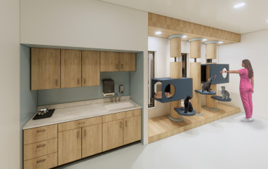 Rendering of Veterinary Technology cat room