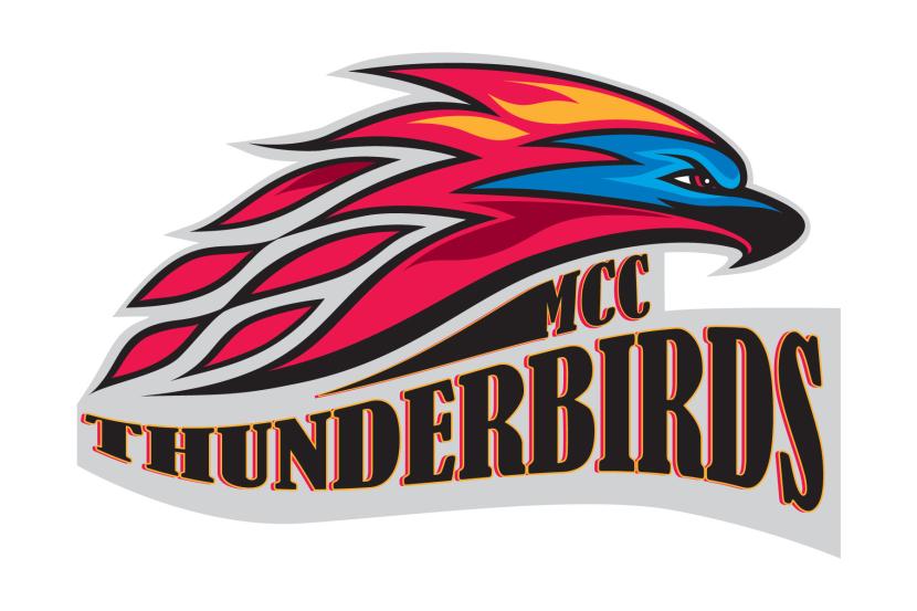 Thunderbird logo