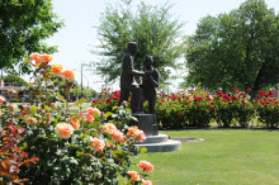 Roses and statues in the garden