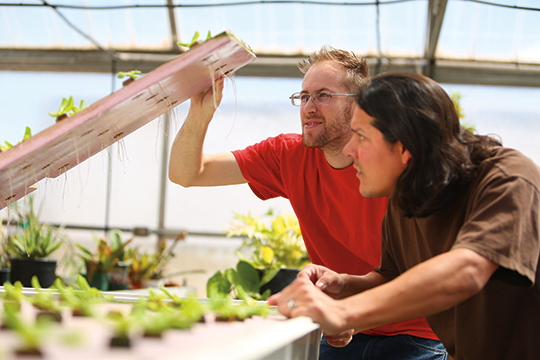 Two students working in a garden greenhouse