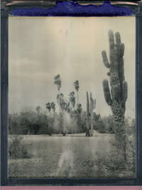 Photo of desert landscape, taken by Neil Winter
