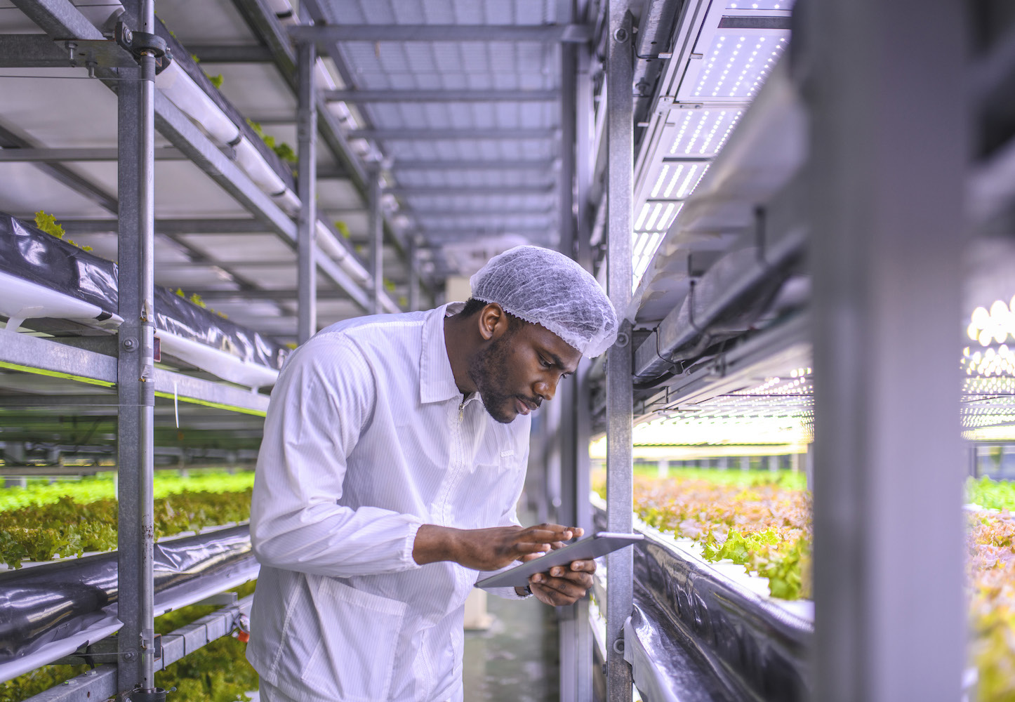 Picture of person in vertical garden