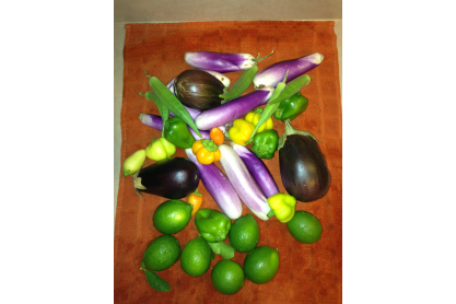 Update: MCC Agriculture Students Farmers Market