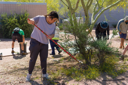Volunteer with the MCC Arboretum