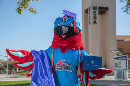 Thor, the MCC Thunderbird mascot-a light blue and red bird, wearing a mortarboard cap holding a diploma cover with a graduation gown draped over one wing.  