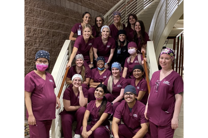 The MCC Dental Hygiene class of 2022 posing on stairway. 