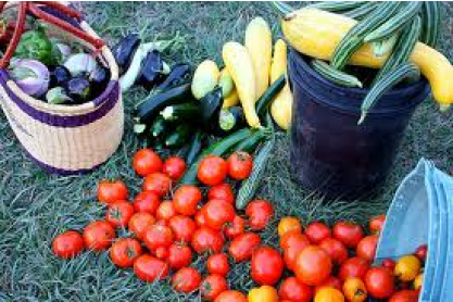 MCC and Rio Salado College Showcase Sustainable Foods at Food Day Event