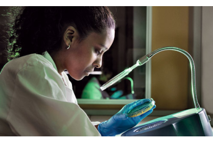 Mesa Community College Hosting SciTech Events