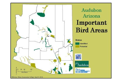 Important Bird Area Project Provides Learning Opportunity for MCC Students