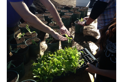MCC Educating and Taking Action to Combat Hunger