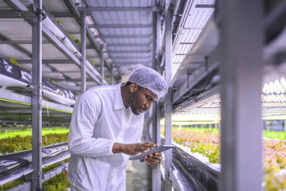 Man noting progress of plants in vertical garden