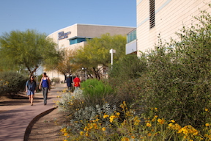 Foreground of yellow flowers and bushes with students walking in the distance with the MCC library building in the background. 
