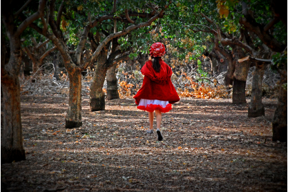 Act 1 to Present "Into the Woods"