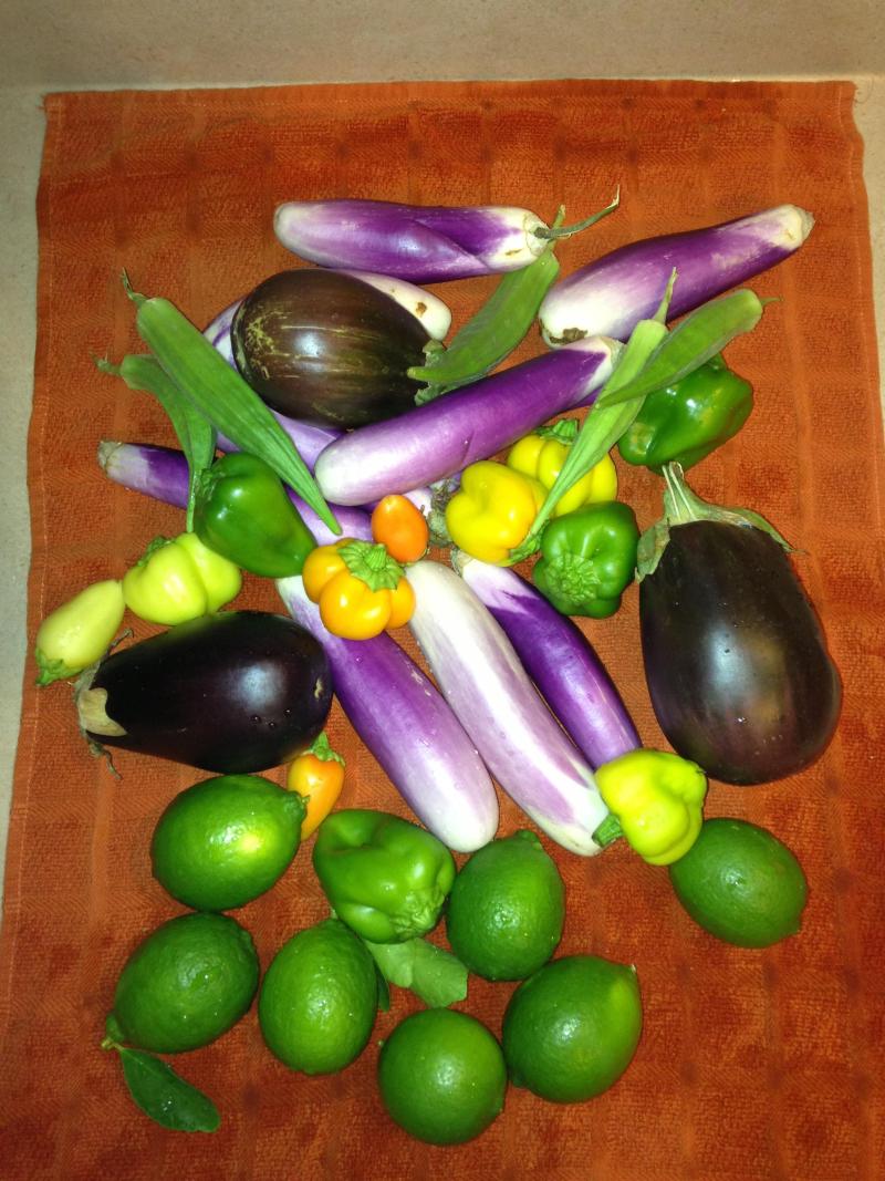 Update: MCC Agriculture Students Farmers Market