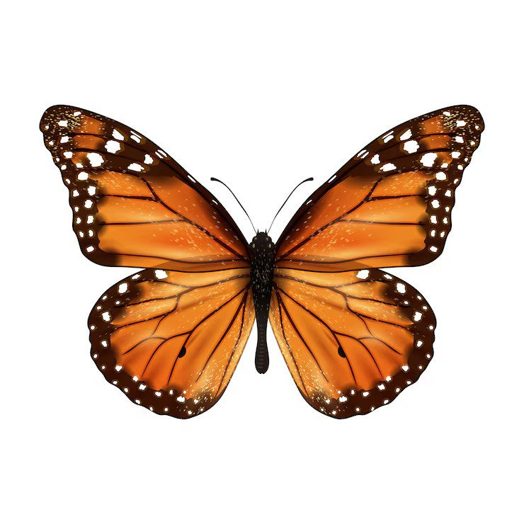 Volunteer with Life Science Gardens