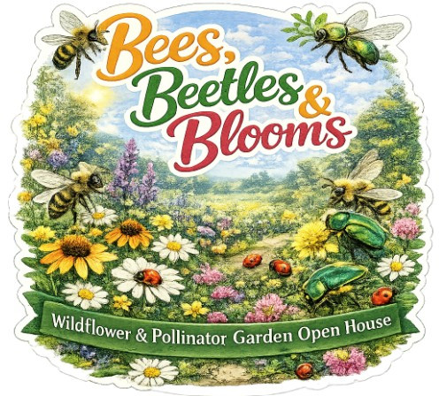 Bees, Beetles, and Blooms - Garden Open house