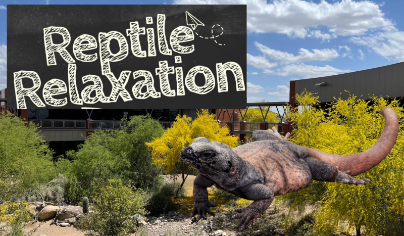 Reptile Relaxation at Red