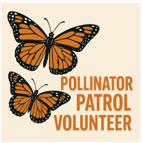 POLLINATOR PATROL: THIS COMING FRIDAY, SEPTEMBER 18 | 7:00-11:00 AM