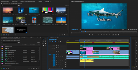 Adobe Premiere workspace with images of sharks, the ocean, and titling: The Wonderful World Undersea
