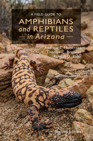 The cover of A Field Guide to Amphibians and Reptiles in Arizona, second edition, by Andrew Holycross, Thomas Brennan, and Randall Babb