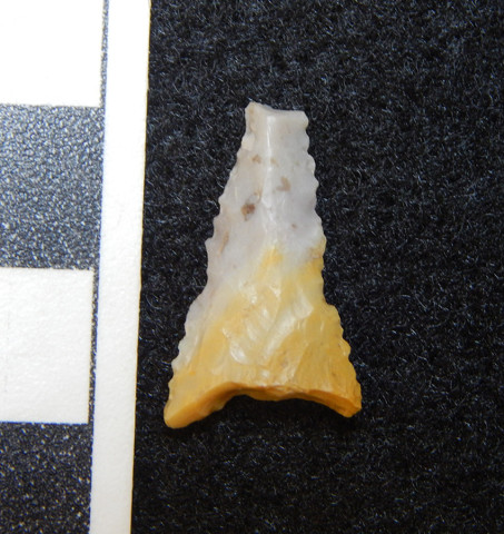 A projectile point on a black background with a measurement reference