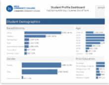 Student Demographics table