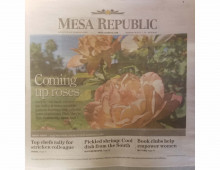 Arizona republic article