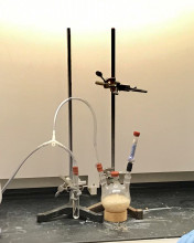 Set up for anaerobic fermentation of yeast.
