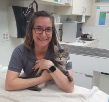 Smiling woman with shoulder-length brown hair wearing brown rimmed glasses and a grey polo shirt holding a grey kitten in a veterinary exam room. 