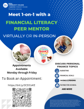 Meet 1-1 with a Financial Literacy Peer Mentor