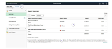 Screenshot of the Award summary page