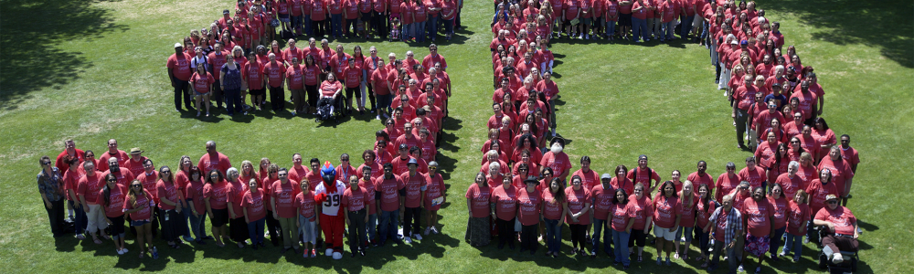 People standing in the shape of the number 50 on a lawn.