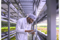 Picture of person in vertical garden