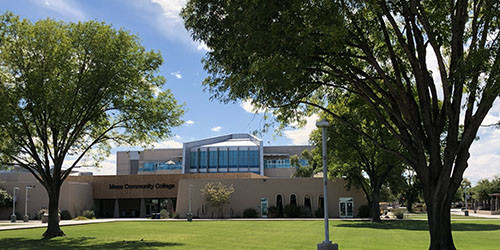 Large leafy trees and grass on campus.