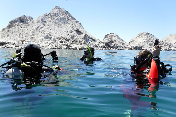 students snorkeling in puerto penasco, mexico