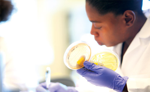 Student holds up two Petri dishes while writing.