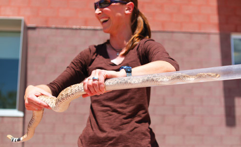 A faculty member holding a snake outside.