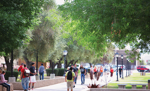 Students walking on a pathway with tree cover above.