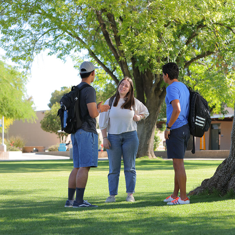 Three students standing on grass and under trees.